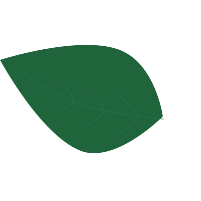 leaf