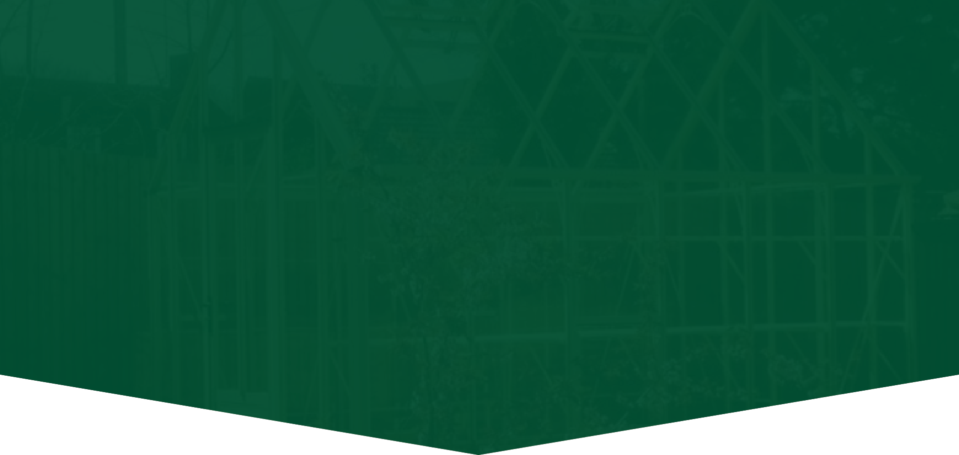 about us green